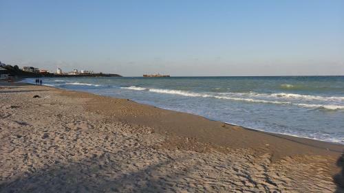 Hostal Vila Calypso Costinesti