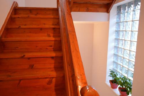 Villa Ski & Adventure Vila