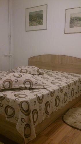 Black Sea Coast Apartment