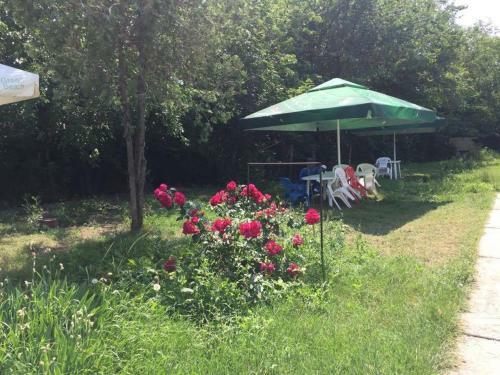 Lodge Bungalow Eforie Nord