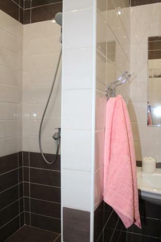 Na Tulpanov Apartments