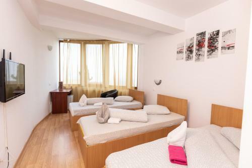 Bed & Breakfast Pensiune Hora