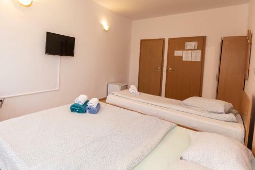 Bed & Breakfast Pensiune Hora