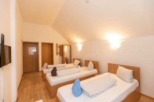 Bed & Breakfast Pensiune Hora