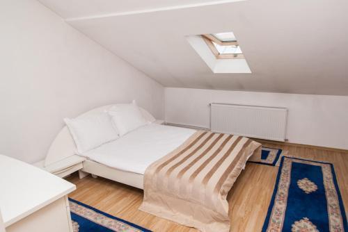 Hostal Vila Condor Sinaia