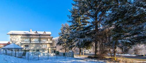 Hostal Vila Condor Sinaia