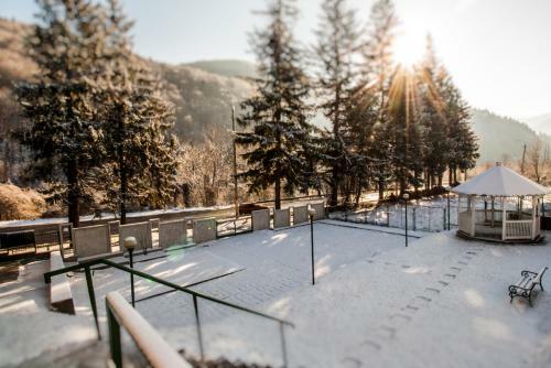 Hostal Vila Condor Sinaia