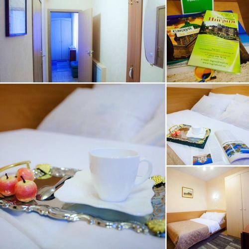 Hotel Ingriya