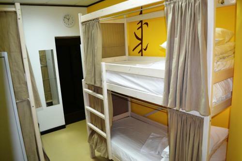 Hostel Duyzhina