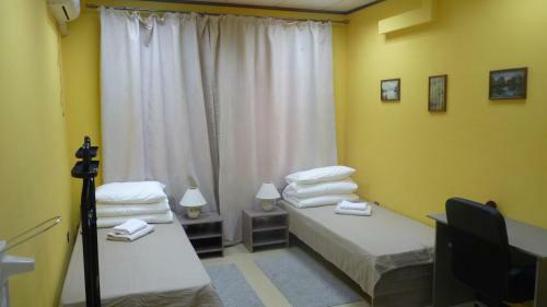 Hostel Duyzhina