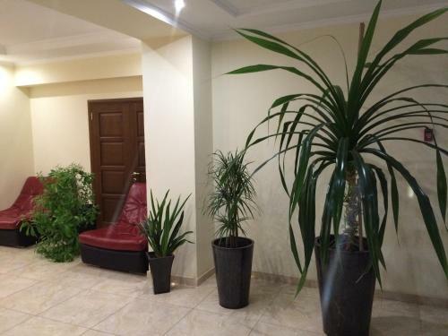 Apartamenty U Tatiany Na Svetlane