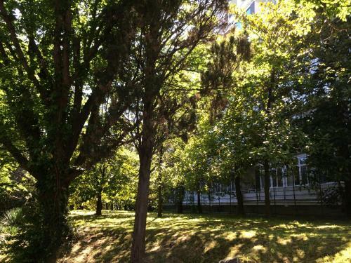 Apartamenty U Tatiany Na Svetlane