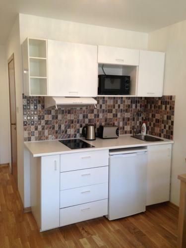 Apartment Druskonis