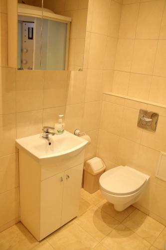 Apartment Druskonis