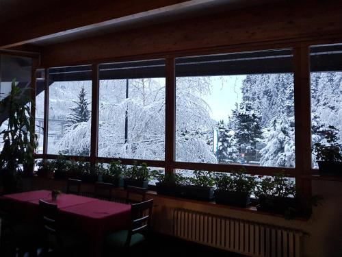 Hotel Betulla