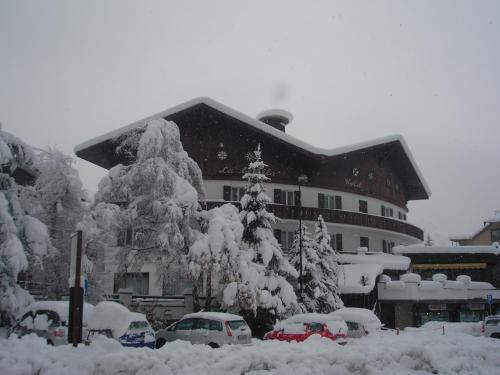 Hotel Betulla