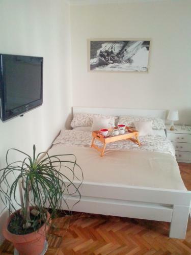 Apartamento Square Nest