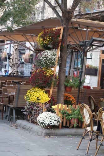 Belle Apartments - Obilicev Venac