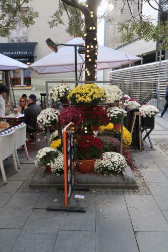Belle Apartments - Obilicev Venac