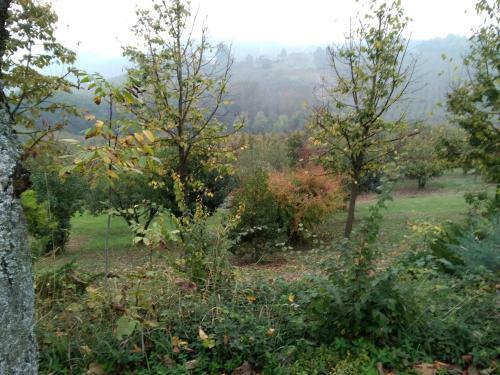Bed & Breakfast Cascina Baresane