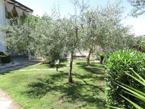 Apartamento Baia Di Portu Frailis