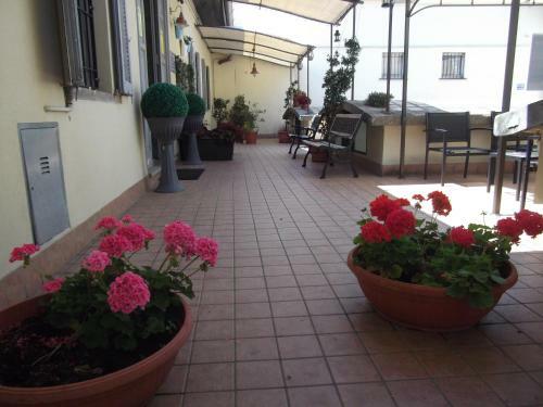 Hostal La Luna Blu In Old Town