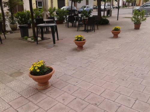 Hostal Casa Domenica