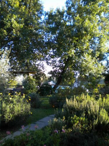 Villa La Fagianaia