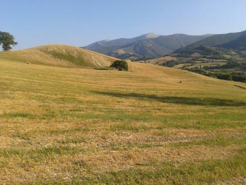 Agroturismo Ca' Le Suore