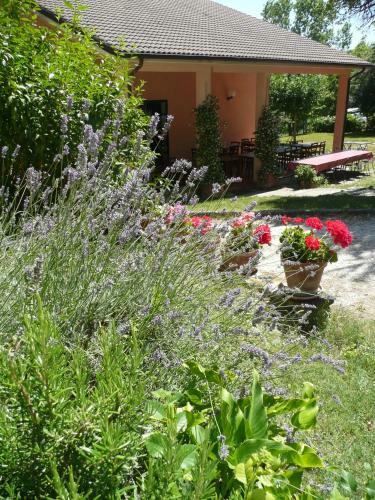 Agroturismo Ca' Le Suore
