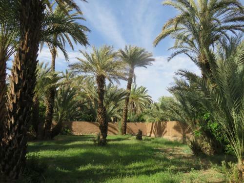Hostal Dar Jnane - La Maison Du Jardin