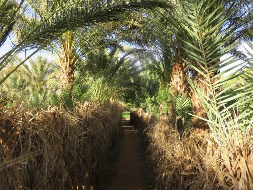 Hostal Dar Jnane - La Maison Du Jardin