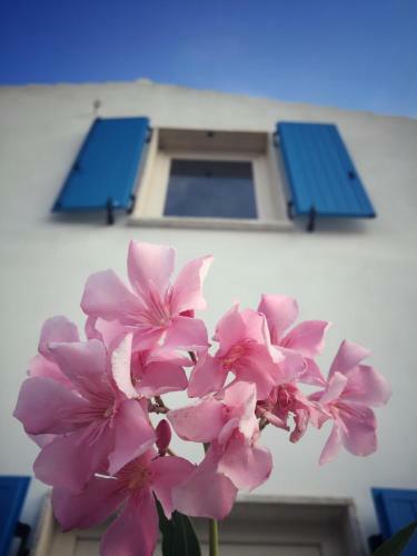 Bed & Breakfast Villa Brigida