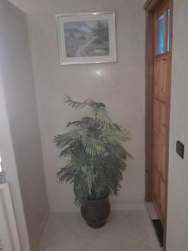 Apartamento Asklou Appartement � Mirleft