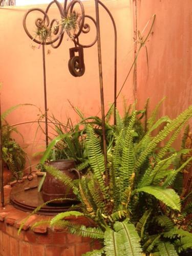 Apartamento Peacock Flat