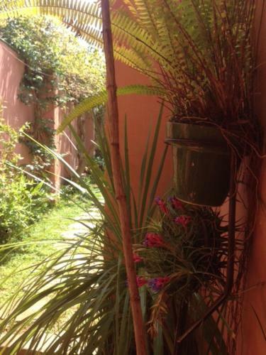 Apartamento Peacock Flat