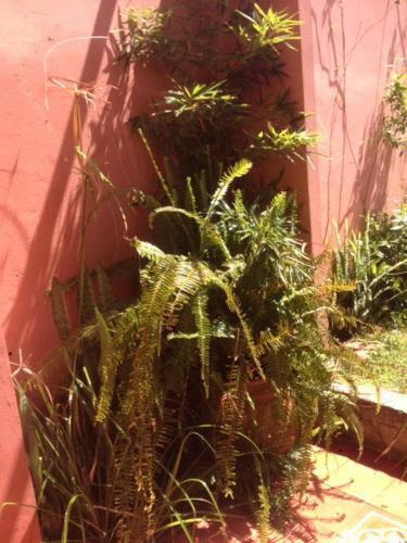 Apartamento Peacock Flat