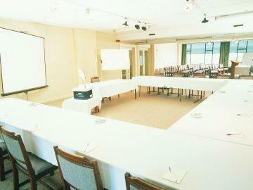 Hotel Copthorne Central