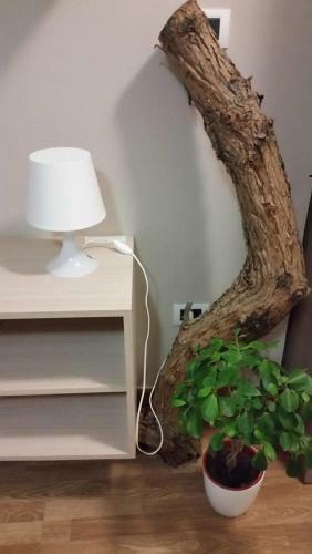 Apartamento Appartamenti Della Rotonda