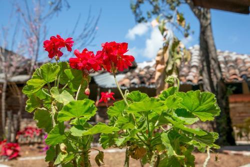 Bed & Breakfast Casa Frenes�