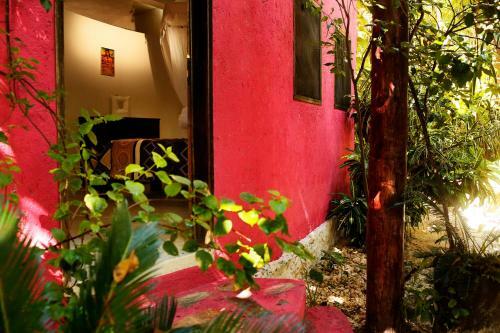 Frida House