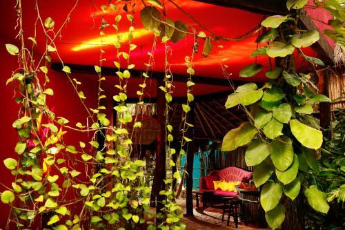 Frida House