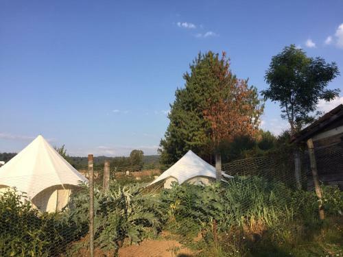 Acatitlan Glamping