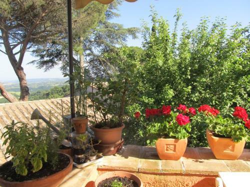 Piccolo Borgo