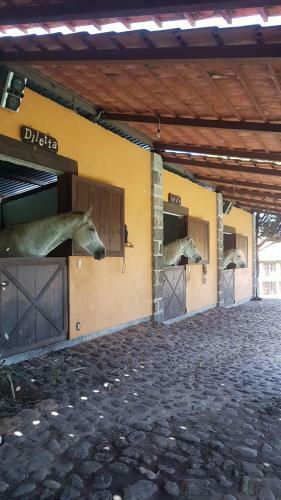 Villa Rancho San Antonio