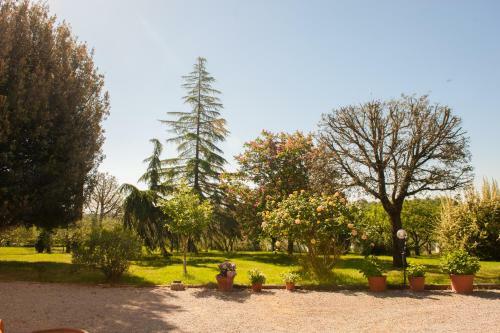 Agroturismo Agriturismo Villa La Morina