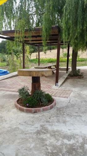 Bed & Breakfast Dal Biondo