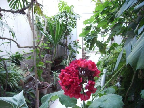 Apartamento Ilgiardinodamare