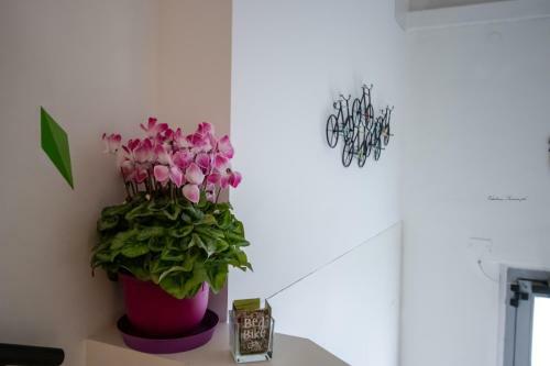 Hostal Bed & Bike Ferrara