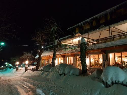 Hotel Albergo Ristorante Il Laghetto